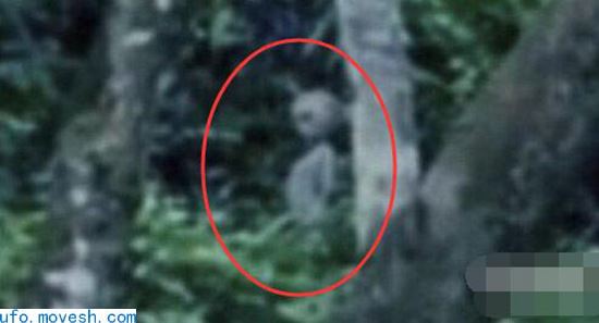 2011年巴西亚马逊拍到外星人影像，UFO是否真实存在？
