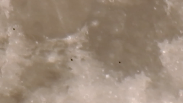月球惊现“UFO”，加拿大网友拍摄到月球三个类似飞碟的不明飞行物略过月球表面，还留下了影子！难道外星人真的在月球?