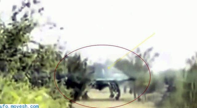 疫情以来UFO事件越来越多，难道外星人正在拯救地球？