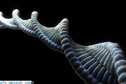 科学家称生命起源于外星球，有机体被智能生物从别处传递到地球