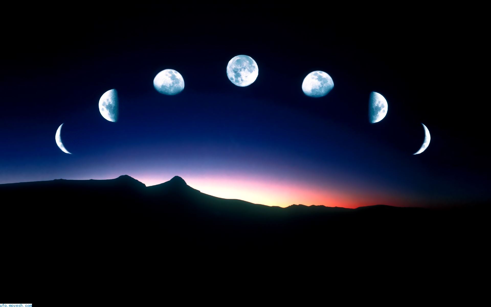 近期疑似发现月球上有外星生物，而NASA为什么要隐瞒那？