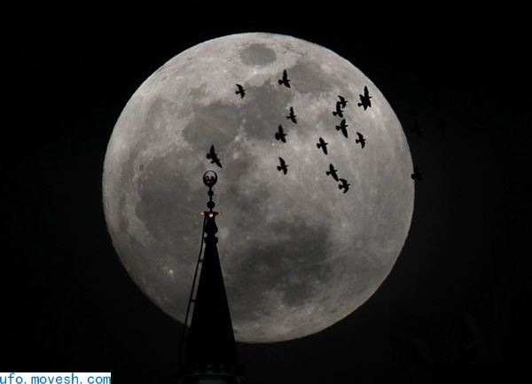 近期疑似发现月球上有外星生物，而NASA为什么要隐瞒那？