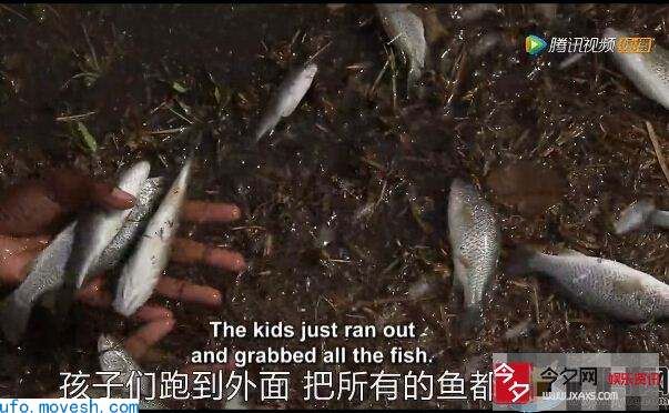 天上下雨竟下出了鱼？原来是这样的