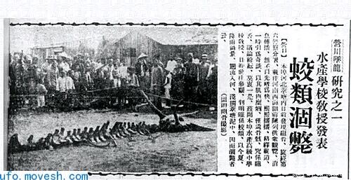 我们身为“龙”的传人？那么龙真的存在么