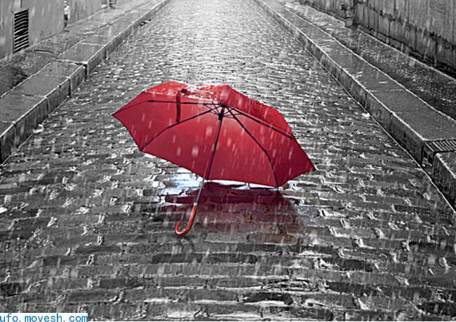 带血的红雨伞